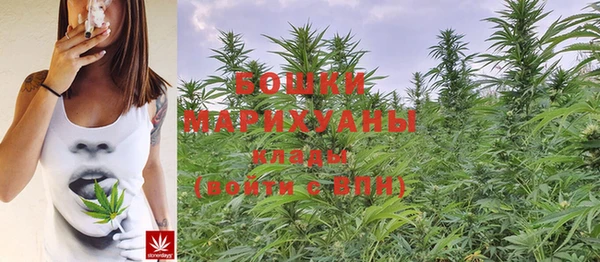 мяу мяу мука Переславль-Залесский