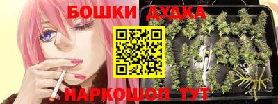 apvp Жуковский