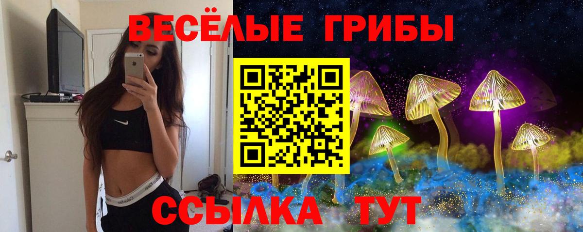 Псилоцибиновые грибы мухоморы Ртищево