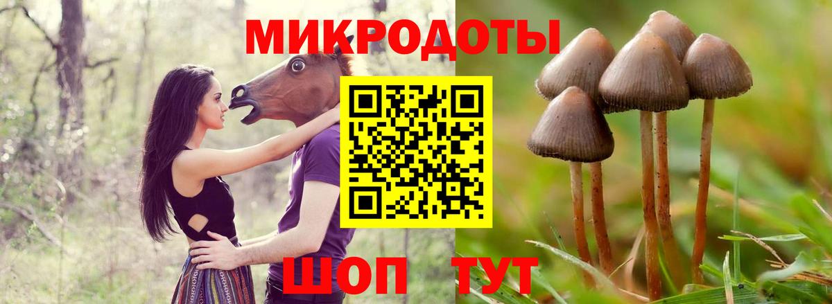 Ртищево  Псилоцибиновые грибы ЛСД  Вход с VPN  Галлюциногенные грибы MAGIC MUSHROOMS 